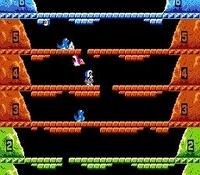 Ice Climber, capture d'écran